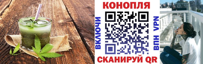 OMG Камызяк Canna-Cookies конопля