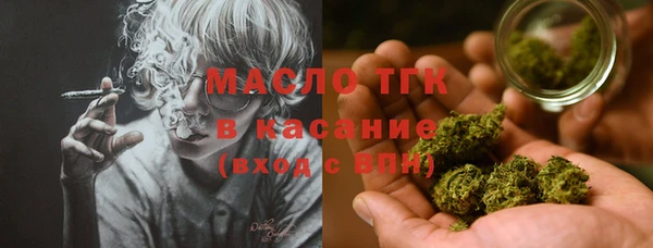индика Михайловка