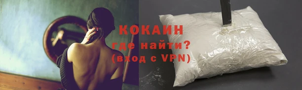 индика Михайловка