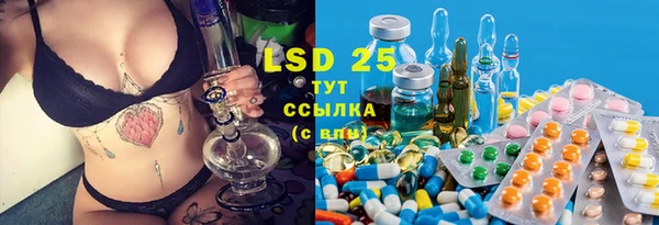индика Михайловка